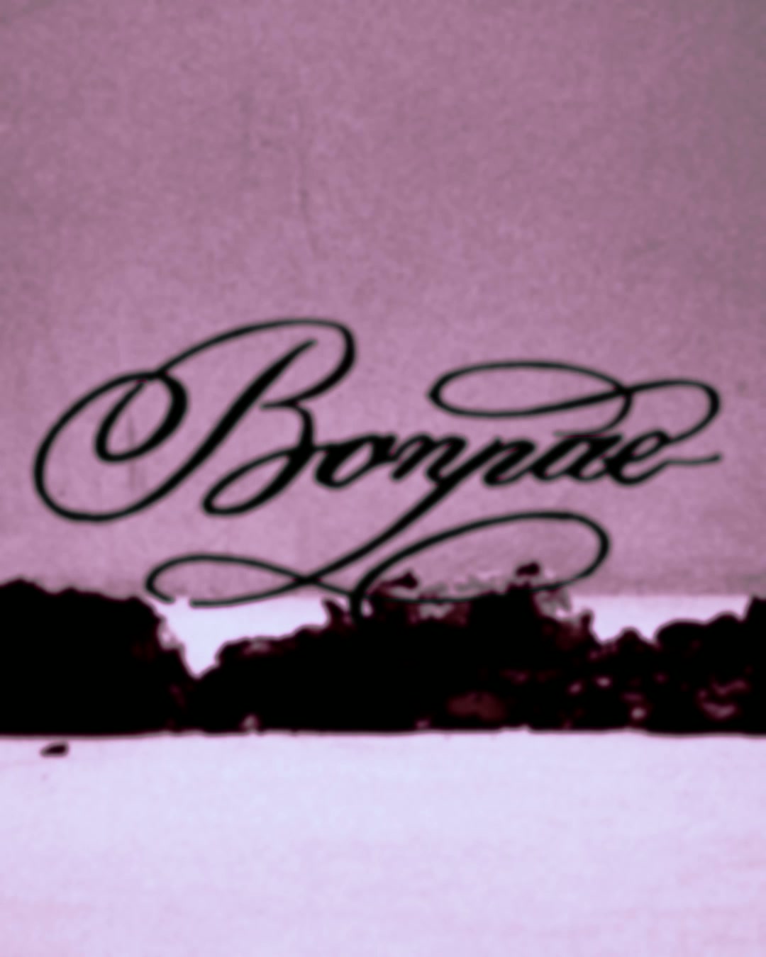 Bonnae 25F/W Video